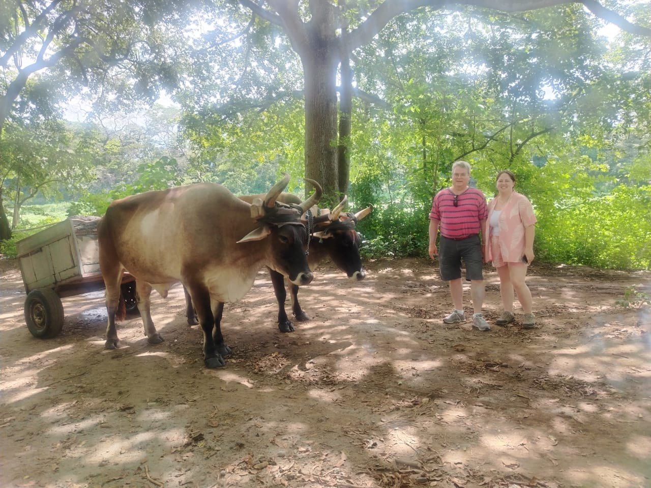 Beach Tour Guanacaste