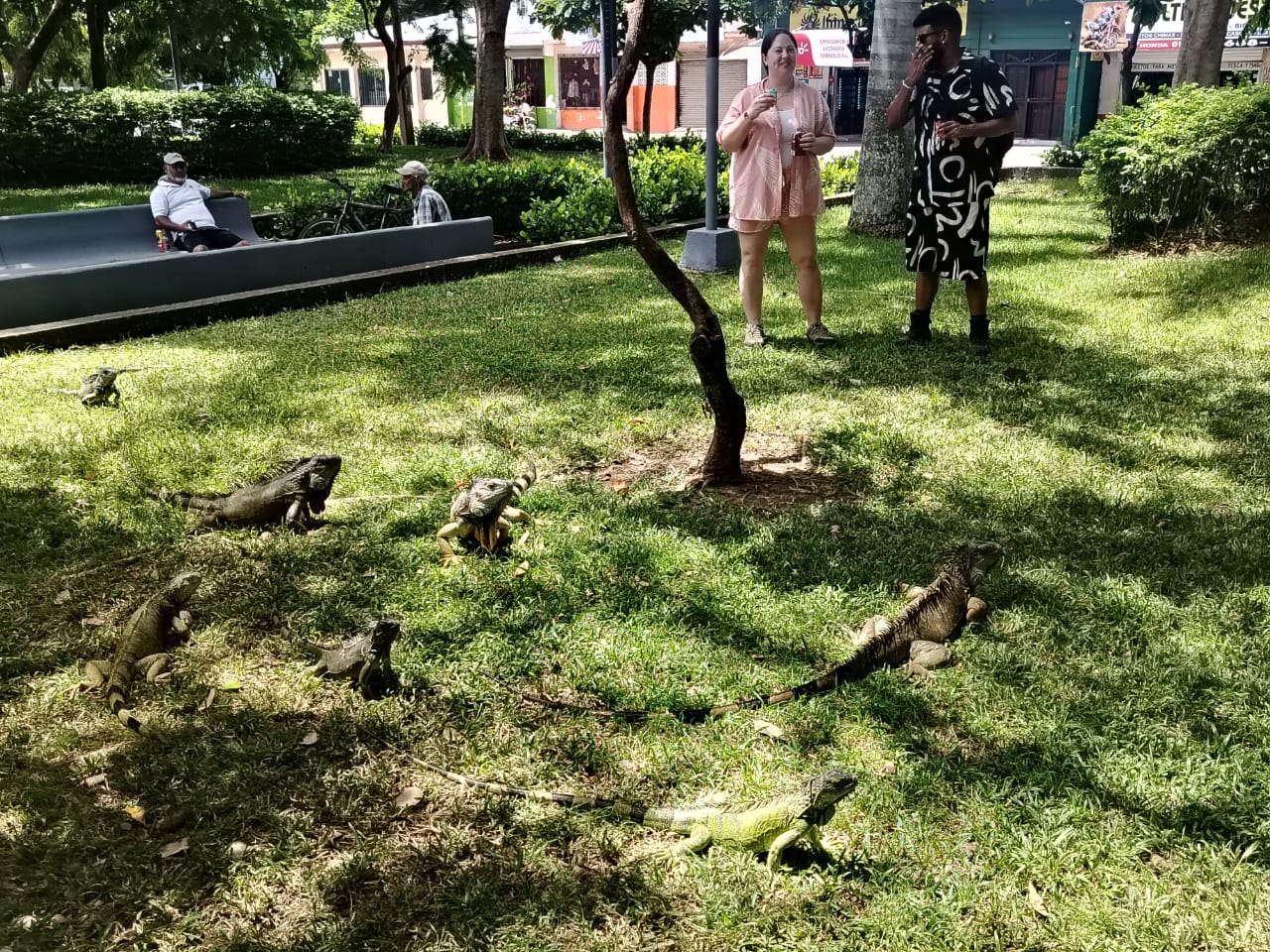 Costa Rican Local Cuisine