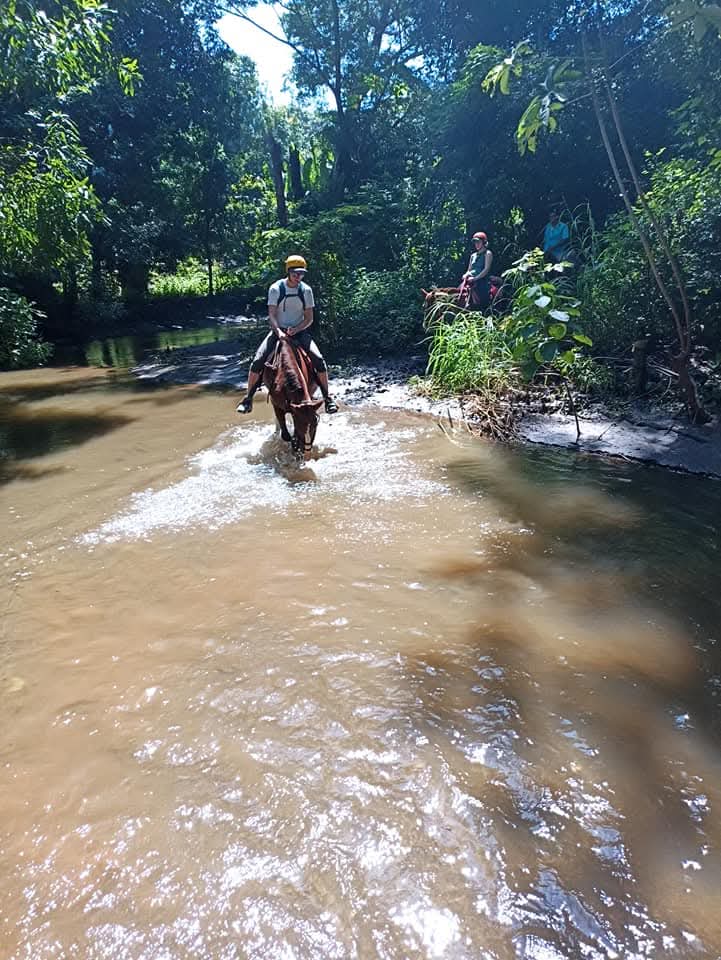 Horseback Scenic Route