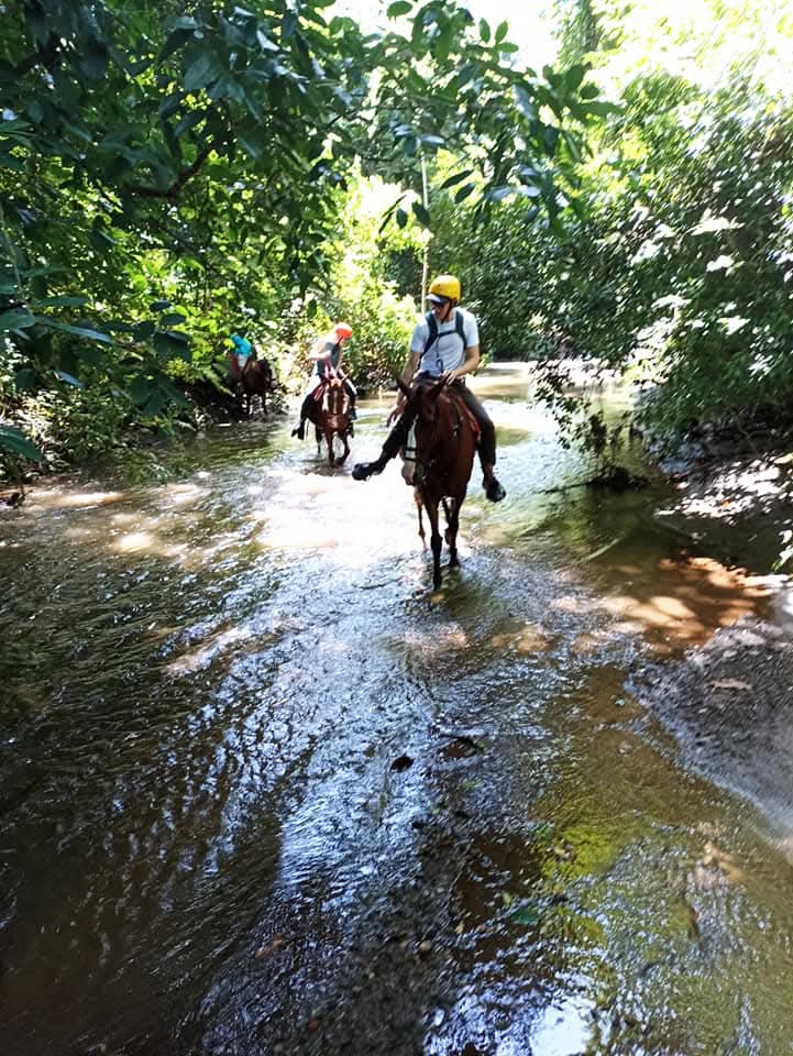 Horseback Scenic Route